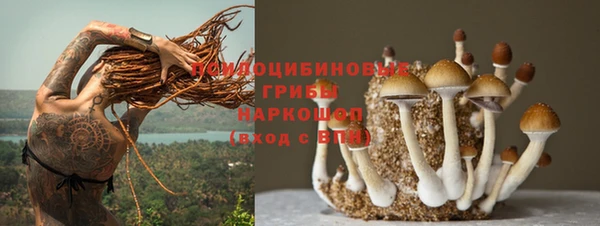 мяу мяу мука Яблоновский