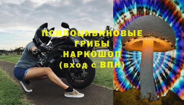 spice Надым