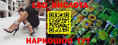 стафф Камышлов