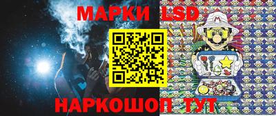 стафф Камышлов