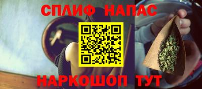 гашик Новокубанск