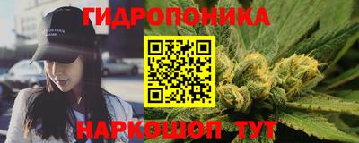 стафф Камышлов