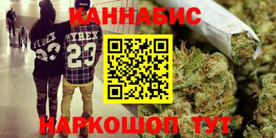 стафф Камышлов