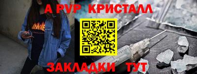 стафф Камышлов