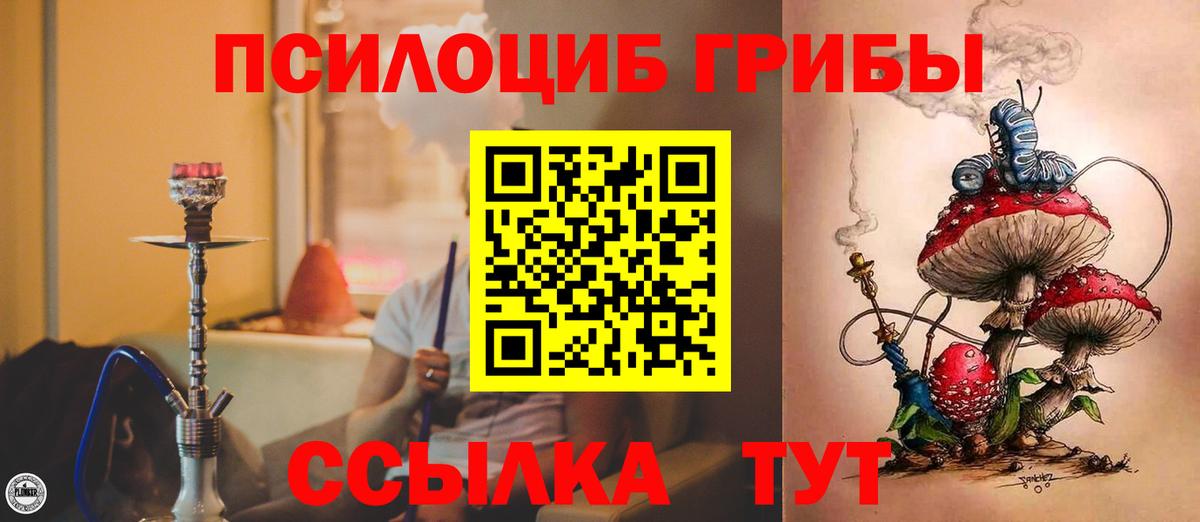 Псилоцибиновые грибы Psilocybine cubensis  Вход с VPN  Рубцовск 